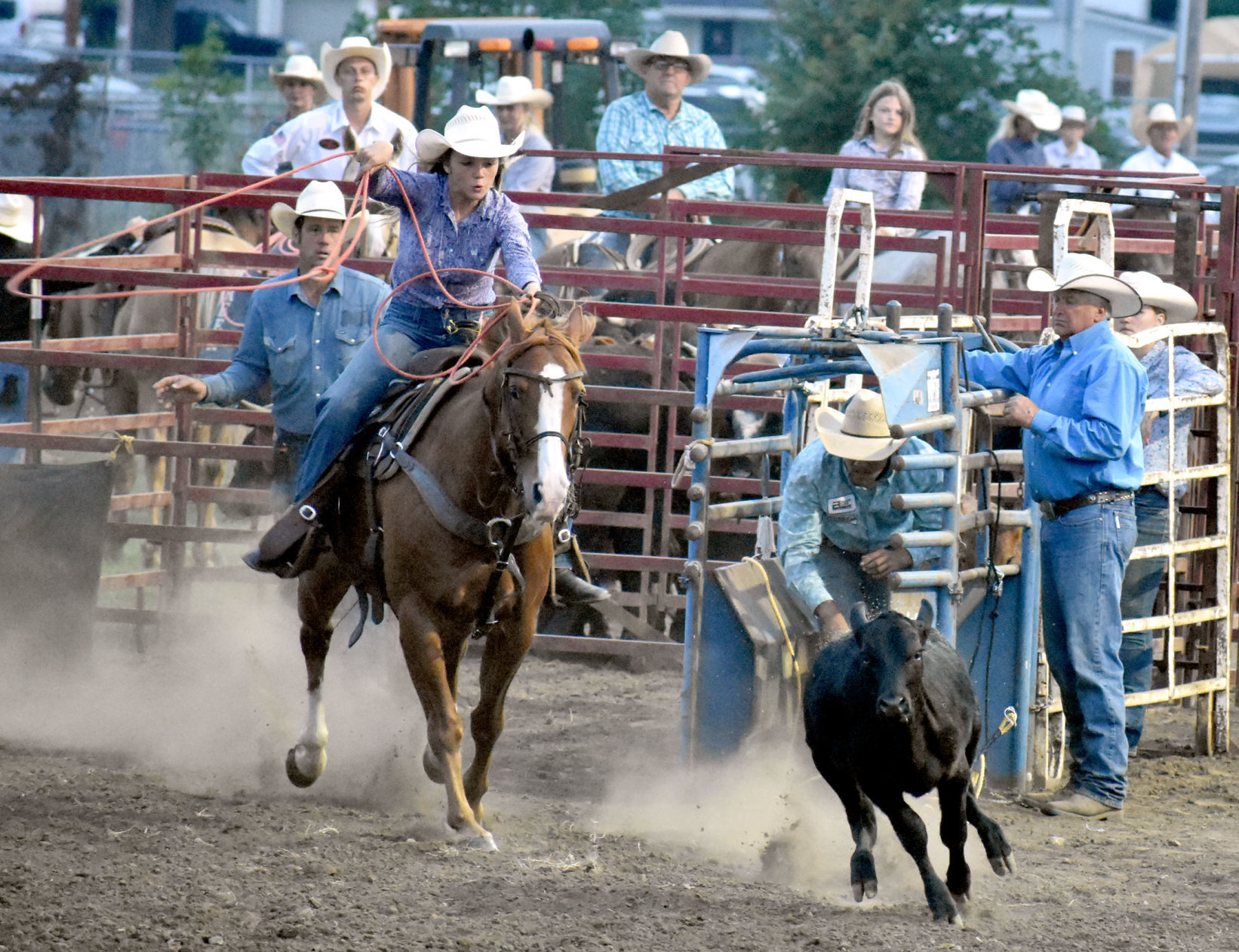 Caden Borman gallops on horseback
